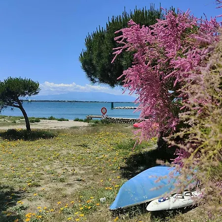T2 Avec Terrasse, Piscine, Parking - - Fr-1-195-46 Le Barcarès